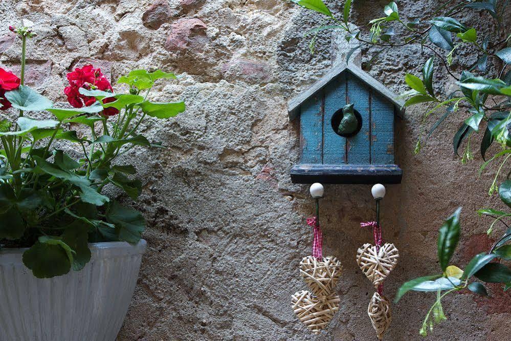 Il Giglio B&B Pienza Eksteriør billede