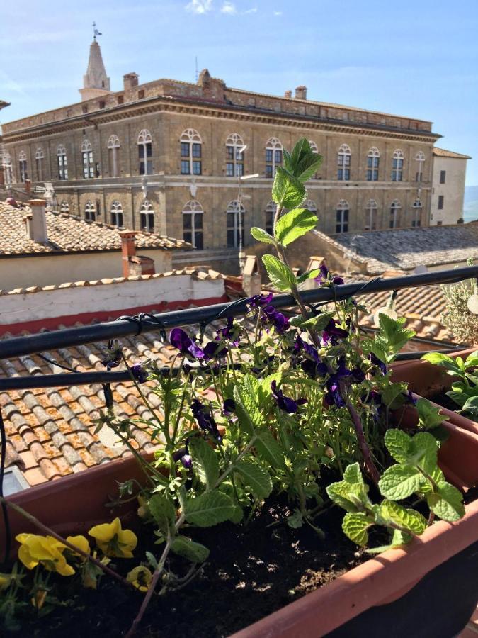 Il Giglio B&B Pienza Eksteriør billede