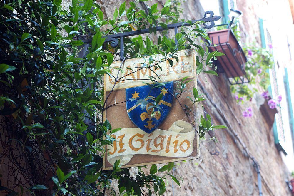 Il Giglio B&B Pienza Eksteriør billede